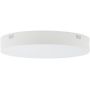 Nowodvorski Lighting Lid 10405 plafon 1x50 W biały zdj.1