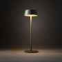 Nowodvorski Lighting Amy 11535 lampa stołowa 1x2 W zielona zdj.6