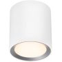 Nordlux Landon 2110850101 lampa podsufitowa 1x8 W biały zdj.1