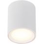 Nordlux Fallon 47550101 lampa podsufitowa 1x5.5 W biały zdj.1