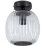 Paulmann Ruya 71145 lampa podsufitowa 1x20 W czarna zdj.3