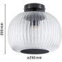 Paulmann Ruya 71146 lampa podsufitowa 1x60 W czarna zdj.2