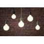 Paulmann Neordic PL78434 lampa wisząca 1x60 W aluminium zdj.5