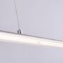 Paul Neuhaus Pure-Lite 837755 lampa wisząca 1x40 W stal zdj.3