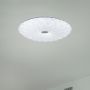 Rabalux Primrose 1427 plafon zdj.5