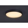 Rabalux Dewson 71289 plafon 1x37 W aluminium zdj.5