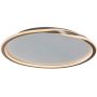 Rabalux Mathiola 71291 plafon 1x40 W złoty zdj.1