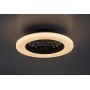 Rabalux Dalfon 2 71329 plafon 1x48 W biały-czarny zdj.4