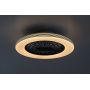 Rabalux Dalfon 2 71330 plafon 1x48 W biały-czarny zdj.3