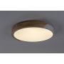 Rabalux Maple2 71417 lampa podsufitowa x24 W biała-drewno zdj.4