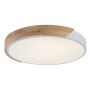 Rabalux Maple2 71417 lampa podsufitowa x24 W biała-drewno zdj.1