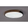 Rabalux Maple2 71418 lampa podsufitowa x42 W czarna-drewno zdj.6