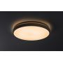 Rabalux Alenzo 71431 inteligentny plafon 1x36 W biały zdj.6
