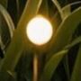 Rabalux Tavira 77043 lampa solarna stojąca 1x1 W czarny zdj.3