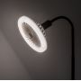Rabalux Smd-Led 79231 żarówka led x16 W 3000 K e27 zdj.4