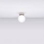 Sollux Lighting Yoli SL2238 lampa podsufitowa 1x8 W brązowa zdj.2