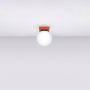 Sollux Lighting Yoli SL2244 lampa podsufitowa 1x8 W czerwona zdj.2