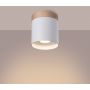 Sollux Lighting Rif SL1348 lampa podsufitowa 1x10 W biała-drewno zdj.9