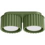 Sollux Lighting Aura SL1798 lampa podsufitowa 2x10 W zielona zdj.1