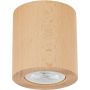 TK Lighting Eve 10121 lampa podsufitowa 1x11 W drewno zdj.1