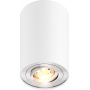 Zuma Line Rondoo 45519N lampa podsufitowa 1x50 W biała zdj.1
