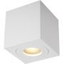 Zuma Line Quardip ACGU10160N lampa podsufitowa 1x50 W biały zdj.1