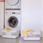 Brabantia Collect-It 247828 kosz na bieliznę i pranie zdj.4