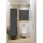 Elita For All RE140500066010 szafka 50x12.6x80 cm boczna wisząca antracyt zdj.5