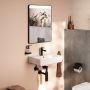 Hansgrohe Xarita Lite Q 54969670 lustro 50x70 cm prostokątne z oświetleniem czarny zdj.3