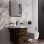 Hansgrohe Xarita Lite Q 54970670 lustro 60x70 cm prostokątne z oświetleniem czarny zdj.10