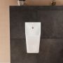 Hansgrohe EluPura Original Q 62010450 pisuar zdj.6