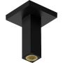Hansgrohe 24338670 ramię sufitowe czarny zdj.1