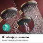 Hansgrohe Raindance Alive Q 24620140 zestaw prysznicowy podtynkowy termostatyczny z deszczownicą zdj.6