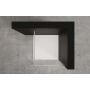 Invena AK32102 ścianka prysznicowa walk-in 100 cm chrom półmat/szkło przezroczyste zdj.5
