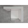 Invena AK32105 ścianka prysznicowa walk-in 100 cm czarny półmat/ zdj.6