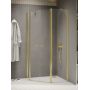 New Trendy New Soleo Light Gold K1669 kabina prysznicowa 100x80 cm złoty połysk/szkło przezroczyste zdj.1