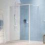 Sealskin Contour CDA31186025100 ścianka prysznicowa walk-in 120 cm zdj.9