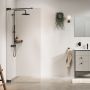 Sealskin Pure PU010906145100 ścianka prysznicowa walk-in 90 cm grafitowy szczotkowany/szkło przezroczyste zdj.5