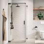 Sealskin Pure PU231206145100 ścianka prysznicowa walk-in 120 cm grafitowy szczotkowany/szkło przezroczyste zdj.1