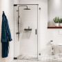 Sealskin Pure PU231206195100 ścianka prysznicowa walk-in 120 cm czarny mat/szkło przezroczyste zdj.1