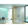 Sanplast Altus 600121256142401 ścianka prysznicowa walk-in 120 cm chrom połysk/szkło przezroczyste zdj.1