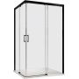 Sanplast Free Zone 600271372059401 kabina prysznicowa prostokątna 100x90 cm zdj.3