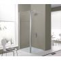 Sanplast Exa Line 600540098038401 kabina prysznicowa walk-in 90x33.5 cm srebrny połysk/szkło przezroczyste zdj.1