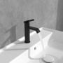 Villeroy & Boch Dawn TVW106103152K5 bateria umywalkowa stojąca czarna zdj.5