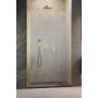 Radaway Nes Brushed Gold DWS 100281209901L drzwi prysznicowe 120 cm uchylne złoty szczotkowany/szkło przezroczyste zdj.1