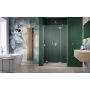 Radaway Essenza Brushed Nickel DWJ 13850149101R drzwi prysznicowe 100 cm uchylne szczotkowany/szkło przezroczyste zdj.1