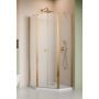 Radaway Nes Gold PTD 100510000901 drzwi prysznicowe 53.2 cm uchylne złoty połysk/szkło przezroczyste zdj.1