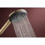 Hansgrohe Raindance Alive Select S 24500140 słuchawka prysznicowa brązowa zdj.5