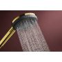 Hansgrohe Raindance Alive Select S 24500990 słuchawka prysznicowa złota zdj.5