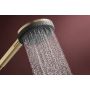 Hansgrohe Raindance Alive Select S 24511140 słuchawka prysznicowa brązowa zdj.3